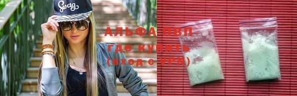 индика Алексин