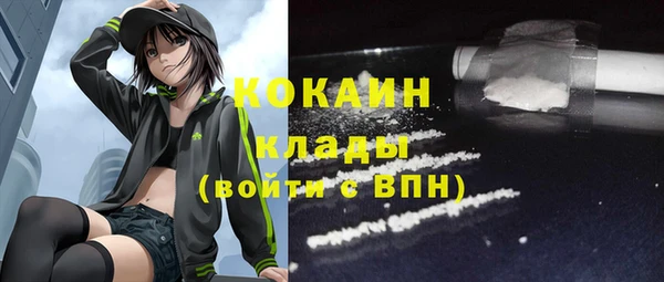 индика Алексин