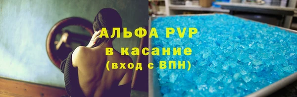 индика Алексин