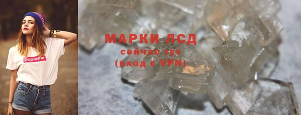 индика Алексин