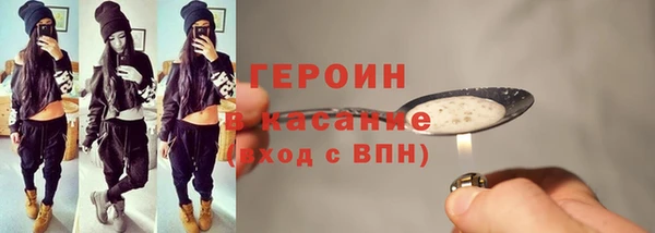 индика Алексин