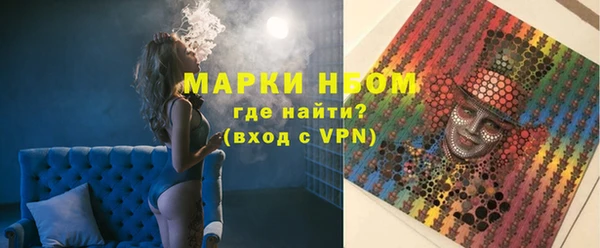 индика Алексин