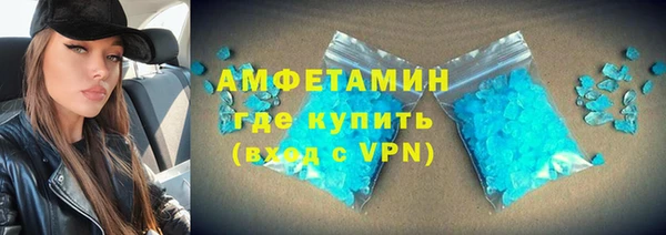 индика Алексин