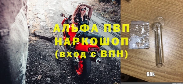 индика Алексин