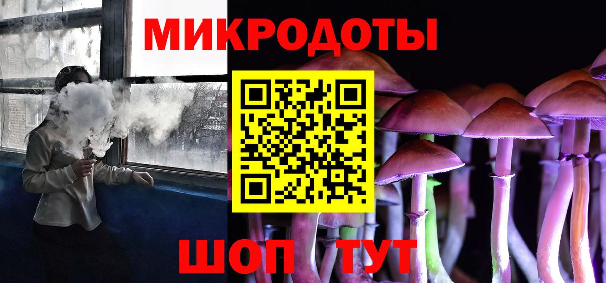Моздок  наркота  Вход с VPN  Галлюциногенные грибы Psilocybine cubensis 