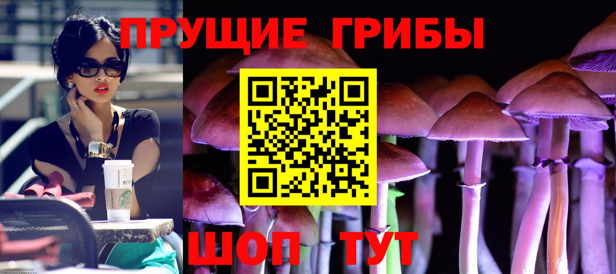 Псилоцибиновые грибы ЛСД Моздок