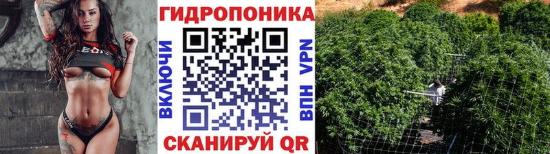 Канабис индика  Моздок 